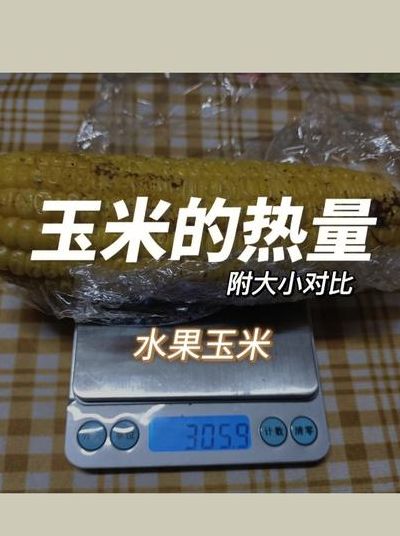 一根玉米的热量（一根玉米的热量是多少千焦的）