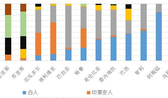 阿根廷语言（阿根廷语言tradicional）