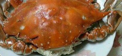 死海螃蟹能吃吗（海死螃蟹可拟吃吗）