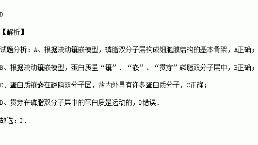 包含磷脂双分子层的词条