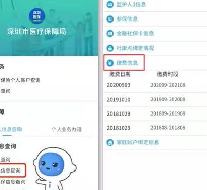 深圳少儿医保缴费查询（深圳少儿医保缴费查询网）