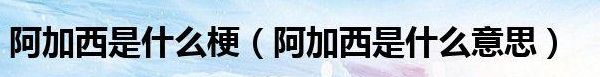 阿加西是什么意思（啊加西是什么意思）