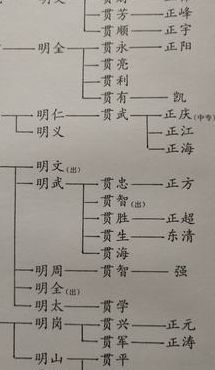 山东陈氏家谱（山东陈氏家谱字辈明细大全图）