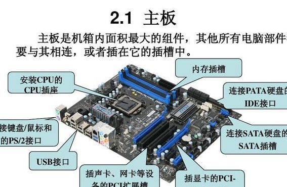 计算机设备（计算机设备属于哪个板块）