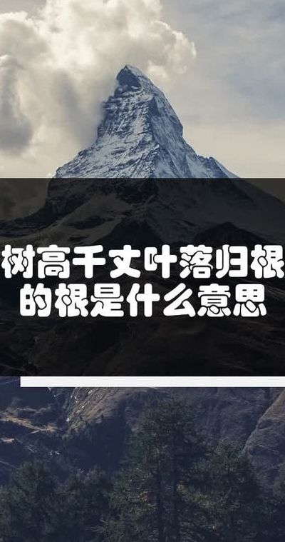 树高百尺落叶归根意思（树高百尺落叶归根意思秒懂百科）