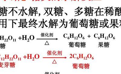 蔗糖水解（蔗糖水解反应方程式）