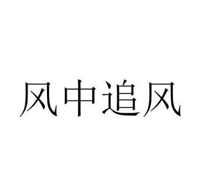 风中追风（风中追风表达什么意思）