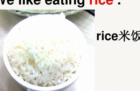 米饭的英语（水的英语）