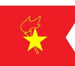 中国少赤队（中国少赤队队旗）