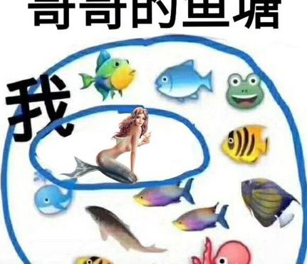 哥哥进鱼塘吗（哥哥进鱼塘不）