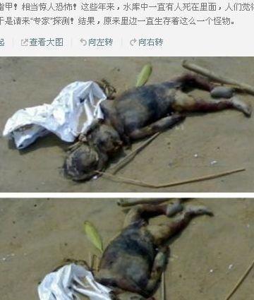 水猴子真的存在吗（水猴子真的存在吗水猴子是什么揭秘）