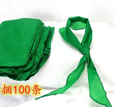 绿领巾代表什么（绿领巾代表什么精神）