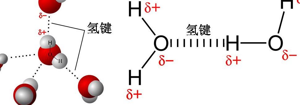 哪些物质有氢键（哪种物质有氢键）