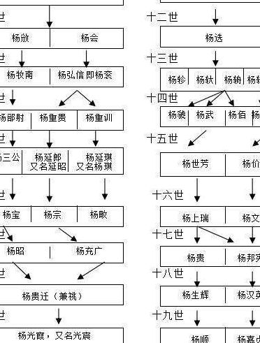 真正杨家蒋家谱（真正杨家蒋家谱图）