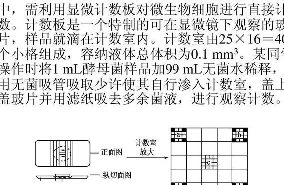 酵母菌计数（酵母菌计数法的公式）