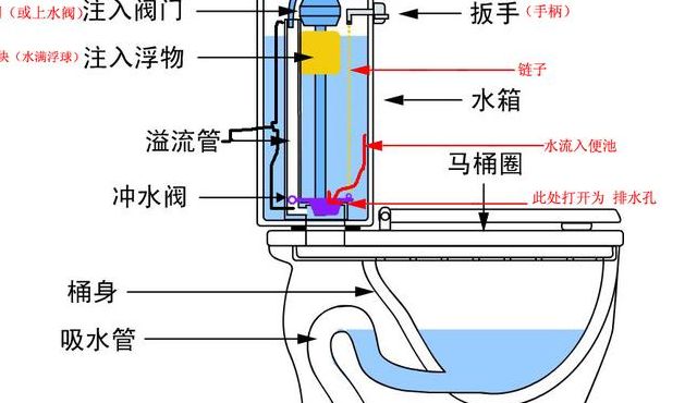 关于什么是虹吸式马桶的信息