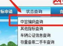 天津市小客车摇号结果查询（天津市小客车摇号结果查询网站官网）