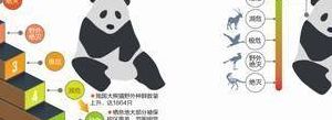 中国大熊猫数量（中国大熊猫数量变化图）