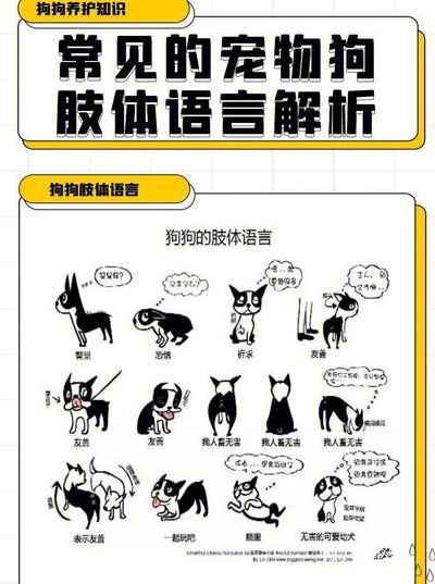 犬子是什么意思（犬子是什么意思解释）