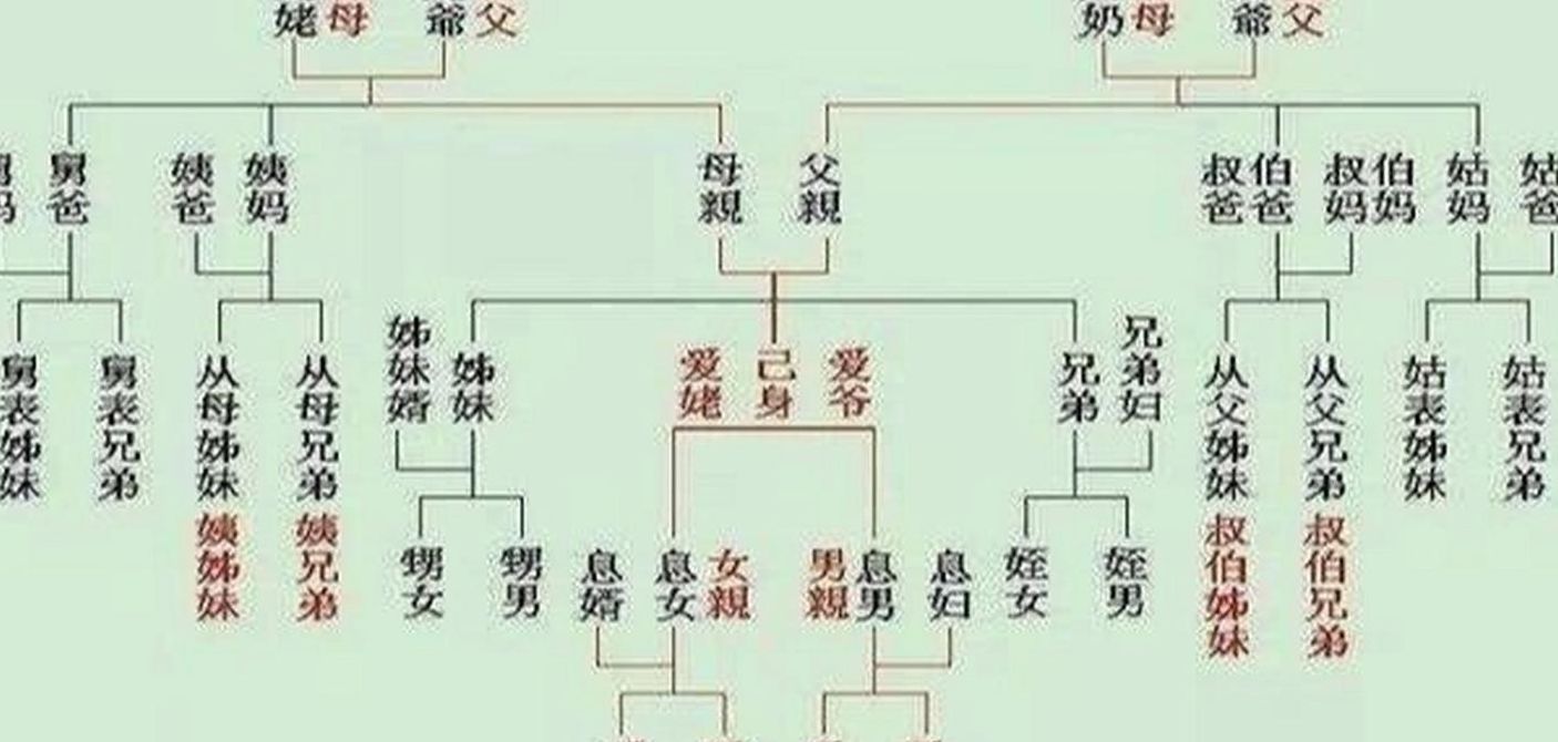 怎么制作家谱（怎么制作家谱世系图）