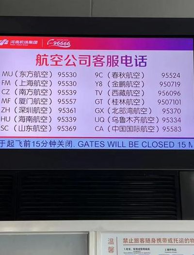 飞机上可以打电话吗（飞机询问电话）