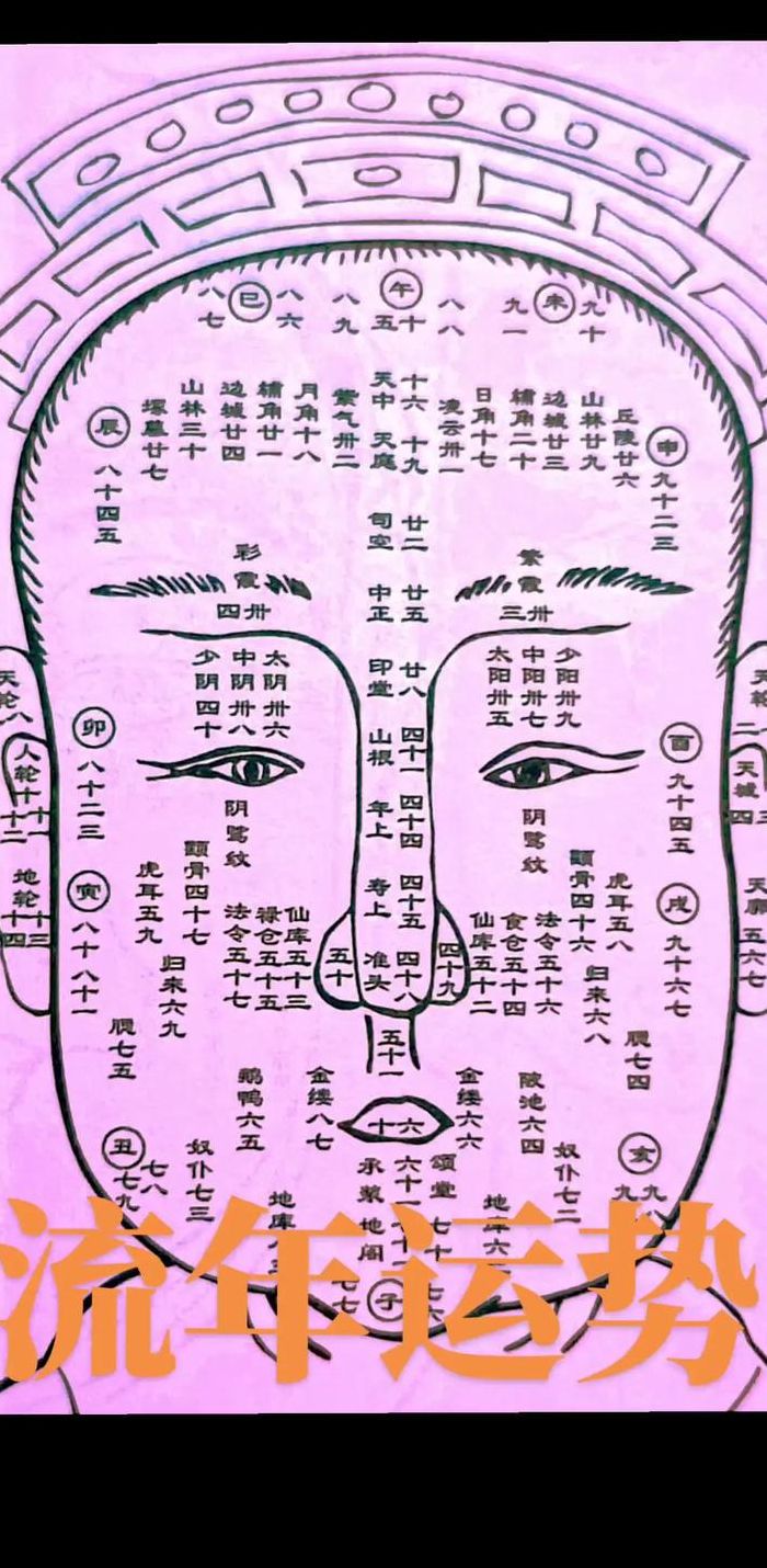 面相男女对照表大全图（面相男女对照表大全图片）
