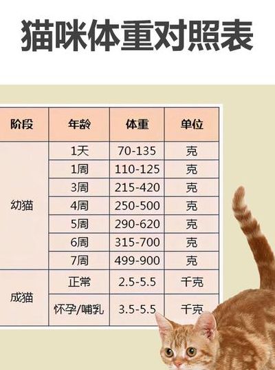 田园猫幼猫体重对照表图（田园猫多少斤正常）
